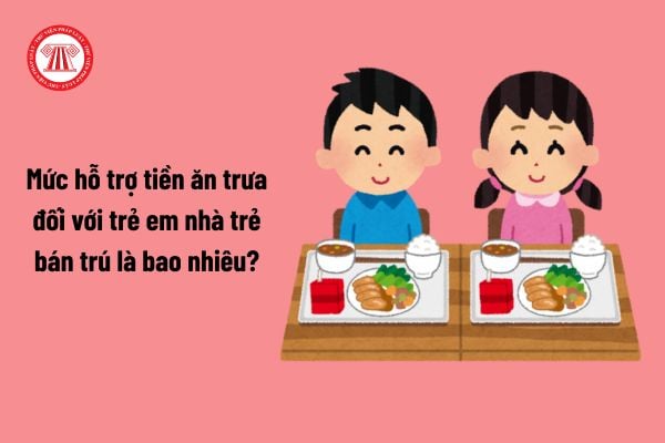 Pháp luật