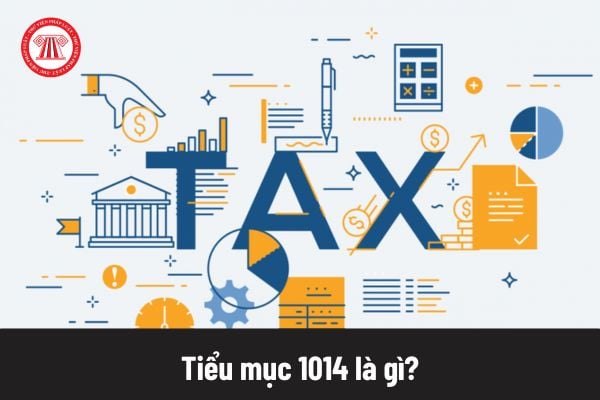 Pháp luật