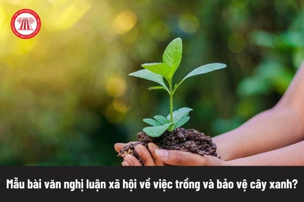 Pháp luật