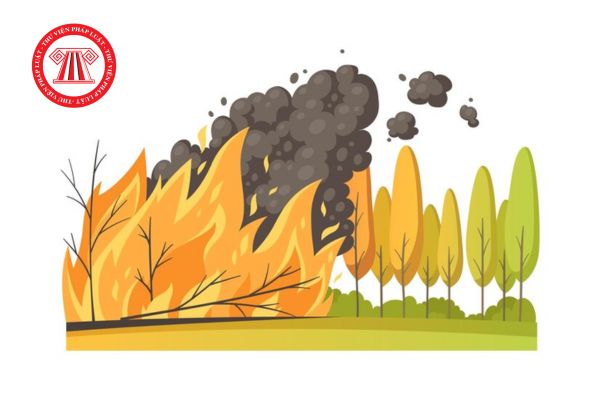 Chủ rừng có bắt buộc phải lập phương án phòng cháy và chữa cháy rừng hay không? 
