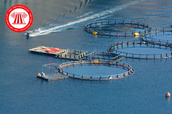 Chủ cơ sở nuôi trồng thủy sản có được vứt động vật thủy sản có dấu hiệu mắc bệnh truyền nhiễm ra môi trường không?