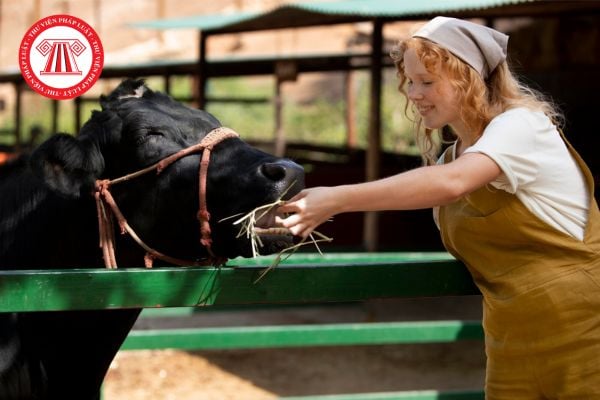 Hành vi mua bán con giống vật nuôi mà không cập nhật đầy đủ hồ sơ giống thì bị xử phạt bao nhiêu tiền?