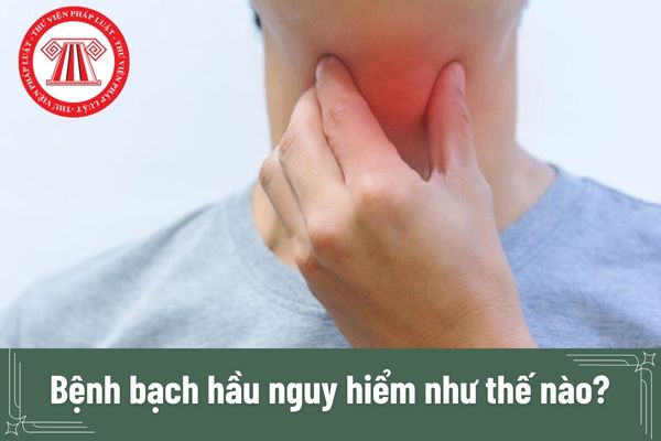 Bệnh bạch hầu nguy hiểm như thế nào? Cách phòng bệnh bạch hầu theo hướng dẫn của Bộ Y tế?