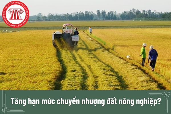 Tăng hạn mức chuyển nhượng đất nông nghiệp? Hạn mức giao đất nông nghiệp theo Luật Đất đai mới nhất là bao nhiêu?