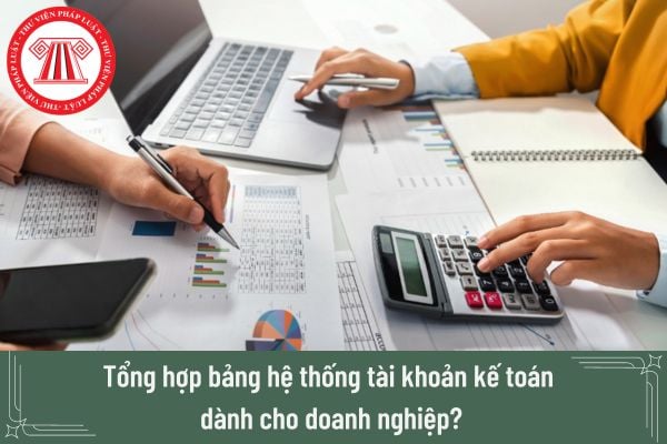 Tổng hợp bảng hệ thống tài khoản kế toán dành cho doanh nghiệp? Bảng hệ thống tài khoản kế toán là gì?