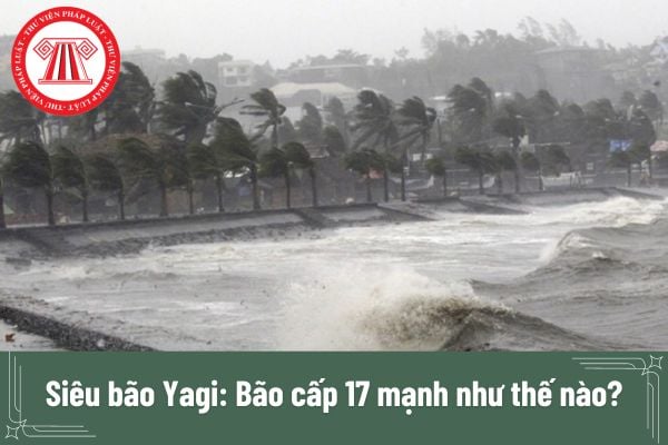 Siêu bão Yagi: Bão cấp 17 mạnh như thế nào? Nhà nước có những biện pháp nào để ứng phó bão Yagi?