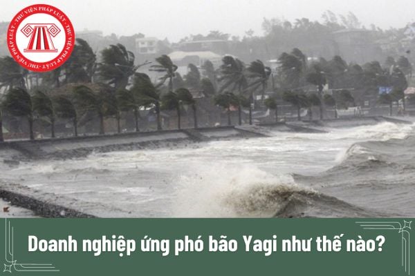 Doanh nghiệp ứng phó bão Yagi như thế nào? Người lao động có được trả lương trong thời gian xảy ra bão Yagi hay không?