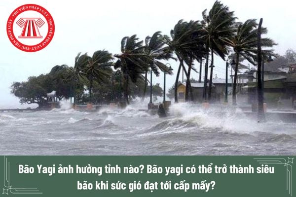 Bão Yagi ảnh hưởng tỉnh nào nhất? Bão yagi có thể trở thành siêu bão khi sức gió đạt tới cấp mấy?