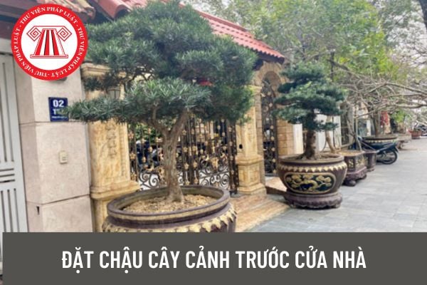 Đặt chậu cây cảnh trước cửa nhà có phải là hành vi lấn chiếm đất đai hay không?