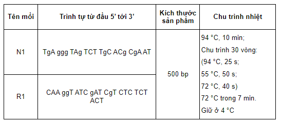 Xác định vi khuẩn bằng phương pháp PCRat/2022-2/TTN/Cap-moi-phu-dau-ga.png