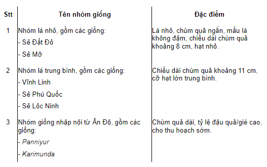 Danh mục các nhóm giống hồ tiêu ở Việt Nam