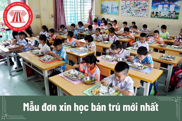 Mẫu đơn xin học bán trú mới nhất dành cho năm học mới? 