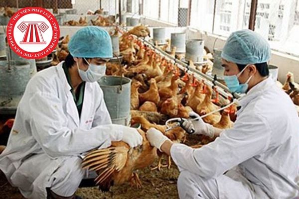 Phương pháp HA có tác dụng gì trong việc chẩn đoán bệnh cúm gia cầm H5N1?