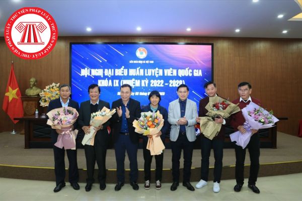 Thành viên Hội đồng Huấn luyện viên bóng đá quốc gia sẽ do cơ quan nào tại Liên đoàn bóng đá Việt Nam bổ nhiệm?