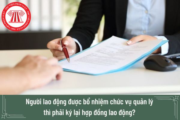 Người lao động được bổ nhiệm chức vụ quản lý thì phải ký lại hợp đồng lao động hay tạm hoãn thực hiện hợp đồng?