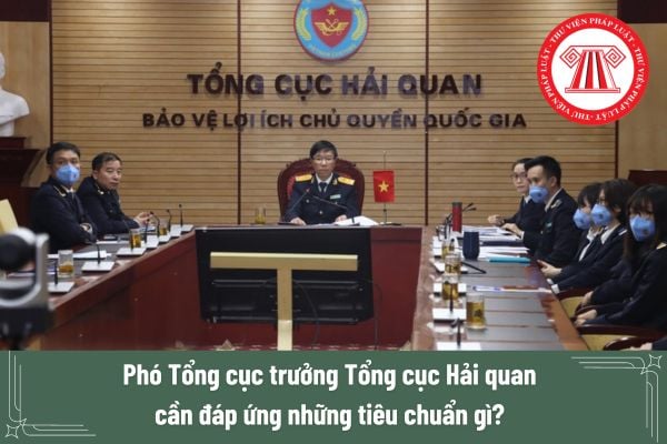 Phó Tổng cục trưởng Tổng cục Hải quan cần đáp ứng những tiêu chuẩn gì? 