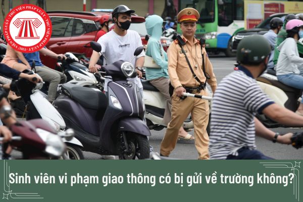 Sinh viên vi phạm giao thông có bị gửi về trường không?