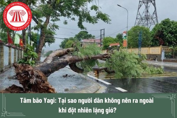 Tâm bão Yagi: Tại sao người dân không nên ra ngoài khi đột nhiên lặng gió?