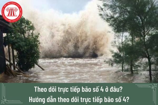 Theo dõi trực tiếp bão số 4 ở đâu? Hướng dẫn theo dõi trực tiếp bão số 4?