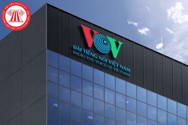 Các đơn vị trong Đài Tiếng nói Việt Nam chịu trách nhiệm tổ chức sản xuất nội dung, chương trình gồm những đơn vị nào?