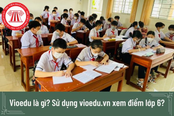 Sử dụng vioedu.vn xem điểm lớp 6 như thế nào?