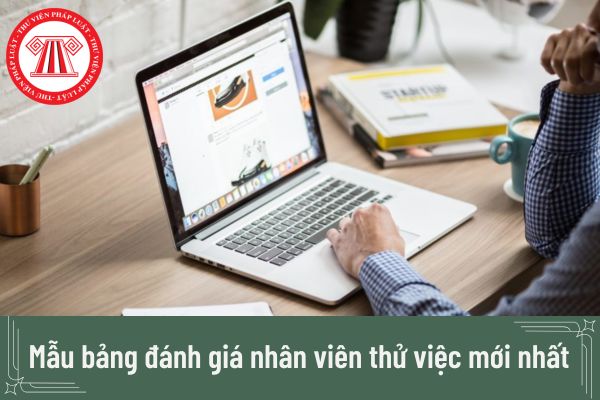 Mẫu bảng đánh giá nhân viên thử việc mới nhất cho doanh nghiệp? 