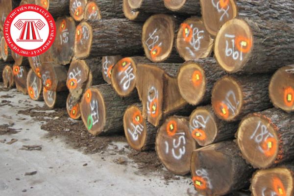 Khối lượng gỗ tròn thu được sau khi khai thác lâm sản được xác định bằng phương pháp nào theo quy định hiện nay?