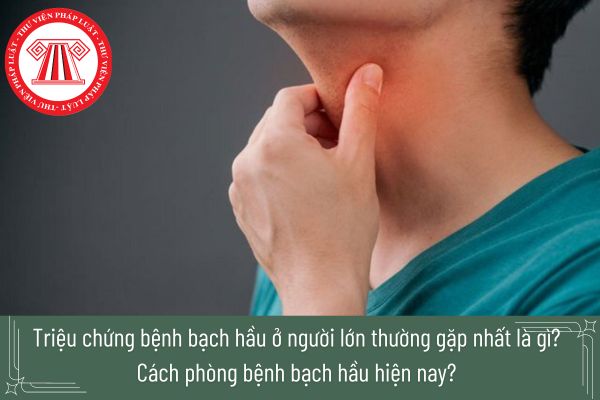 Triệu chứng bệnh bạch hầu ở người lớn? Cách phòng bệnh bạch hầu hiện nay bao gồm những cách gì