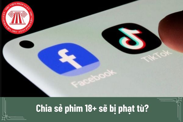 Chia sẻ phim 18+ sẽ bị phạt tù? Có bắt tạm giam người chia sẻ phim 18+ để tiến hành điều tra không?