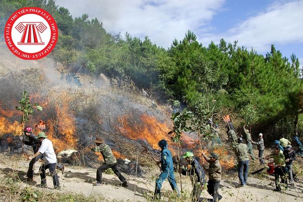 Cá nhân tham gia chữa cháy rừng bi tai nạn mà chưa tham gia bảo hiễm xã hội thì mức hỗ trợ được nhận là bao nhiêu?