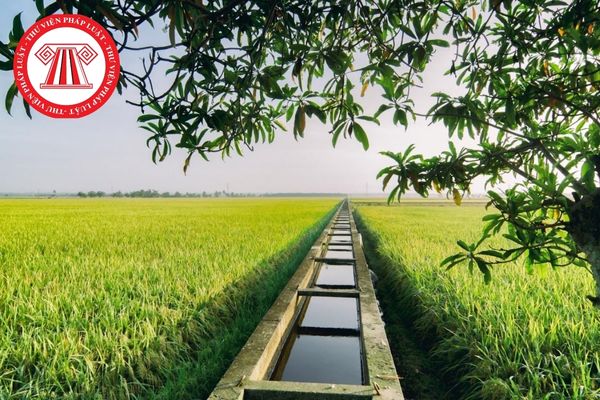 Công tác lấy ý kiến về việc chuyển mục đích sử dụng đất từ đất trồng lúa nước sang đất đầu tư dự án được Sở Tài nguyên và Môi trường được thực hiện ra sao?