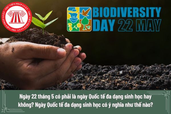 Ngày 22 tháng 5 có phải là ngày Quốc tế đa dạng sinh học hay không? Ngày Quốc tế đa dạng sinh học có ý nghĩa như thế nào?