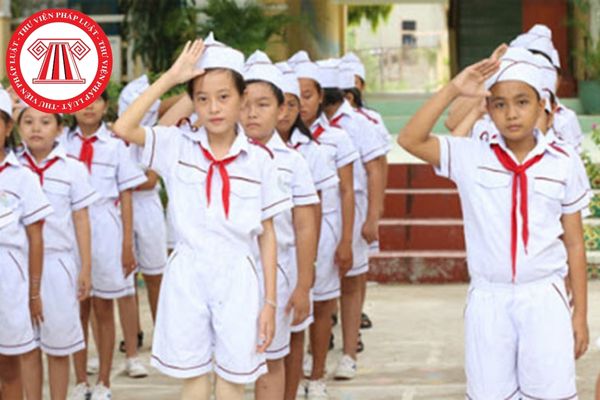 Trình tự bổ nhiệm Tổng phụ trách Đội Thiếu niên tiền phong tại trường Tiểu học trong khu vực Thành phố Hồ Chí Minh thực hiện ra sao?
