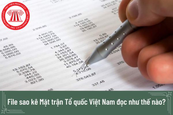 Đọc file sao kê Mặt trận Tổ quốc Việt Nam đọc như thế nào?