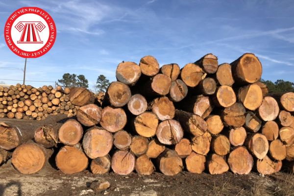 Tổ chức đánh giá độc lập về Hệ thống bảo đảm gỗ hợp pháp Việt Nam thực hiện đánh giá định kỳ bao nhiêu tháng một lần?