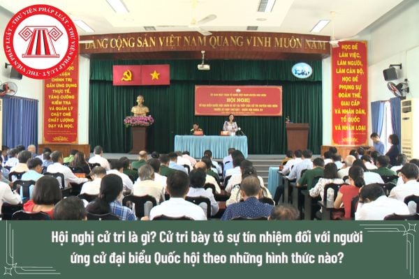 Hội nghị cử tri là gì? Cử tri bày tỏ sự tín nhiệm đối với người ứng cử đại biểu Quốc hội theo những hình thức nào?