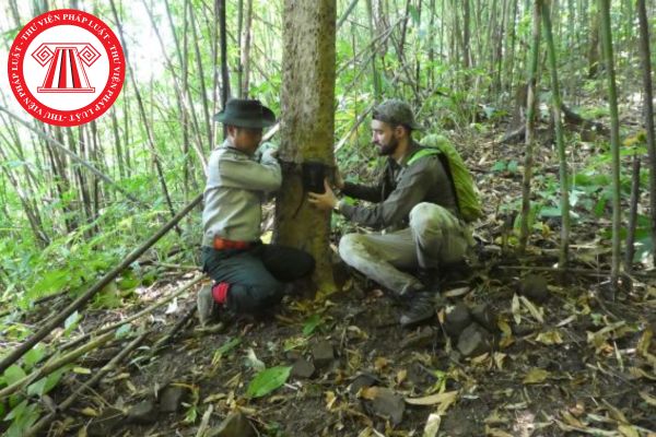 Phương án khai thác thực vật rừng thông thường từ rừng đặc dụng để phục vụ nghiên cứu khoa học và công nghệ sẽ do cơ quan nhà nước nào phê duyệt?
