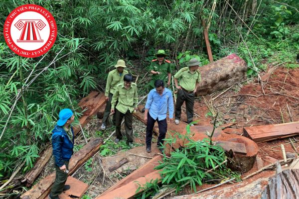 Việc giám sát quá trình khai thác thực vật rừng thông thường của tổ chức, cá nhân sẽ do cơ quan nhà nước nào thực hiện?