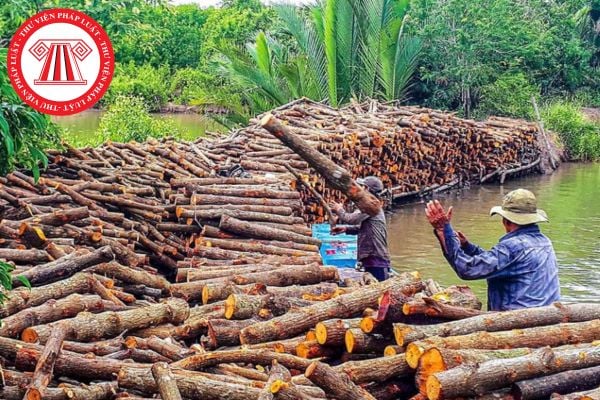 Hồ sơ đề nghị phê duyệt phương án khai thác thực vật rừng thông thường từ rừng tự nhiên gồm những gì?