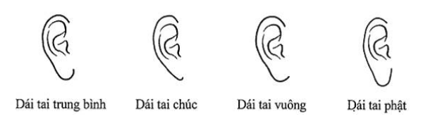 Đặc điểm nhận dạng dái tai