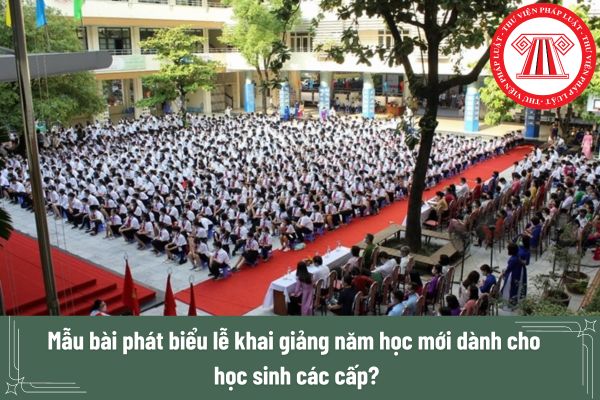 Mẫu bài phát biểu lễ khai giảng năm học mới dành cho học sinh các cấp?