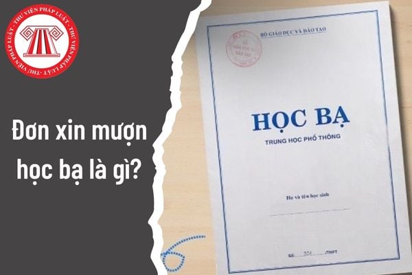 Đơn xin mượn học bạ là gì? Sử dụng đơn xin mượn học bạ cho mục đích nào?