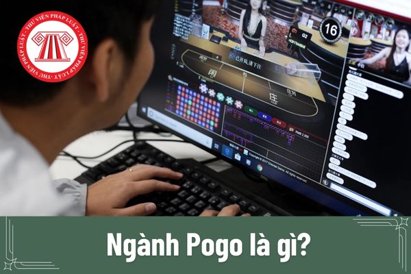 Ngành Pogo là gì? Có được phép kinh doanh ngành Pogo tại Việt Nam theo quy định pháp luật hiện nay không?