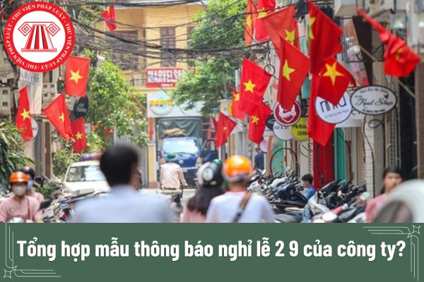 Tổng hợp mẫu thông báo nghỉ lễ 2 9 của công ty? Người dân được phép bắn những loại pháo hoa nào trong dịp lễ 2 9?