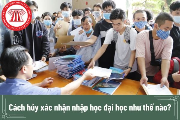 Cách hủy xác nhận nhập học đại học như thế nào?