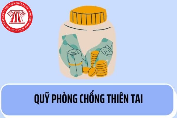 Số tiền phải nộp theo tổng tài sản của quỹ phòng chống thiên tai theo quy định hiện nay có bao gồm cả tiền vay hay không? 