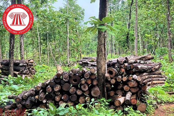 Có được khai thác tận thu cây gỗ đã chết đối với vườn quốc gia trong khu rừng đặc dụng hay không?