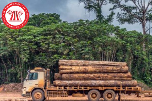 Quản lý gỗ nhập khẩu được thực hiện trên cơ sở áp dụng biện pháp gì theo quy định của pháp luật?