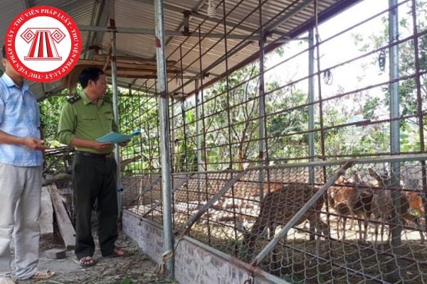 Cơ quan Kiểm lâm có thể kiểm tra nguồn gốc lâm sản đối với cơ sở nuôi các loài động vật rừng thuộc Phụ lục CITES không?