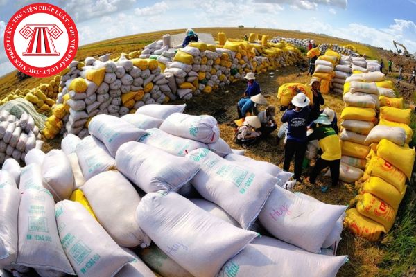 Bộ Nông nghiệp và Phát triển nông thôn có trách nhiệm ban hành quy trình gì trong hoạt động quản lý, điều hành xuất khẩu gạo?